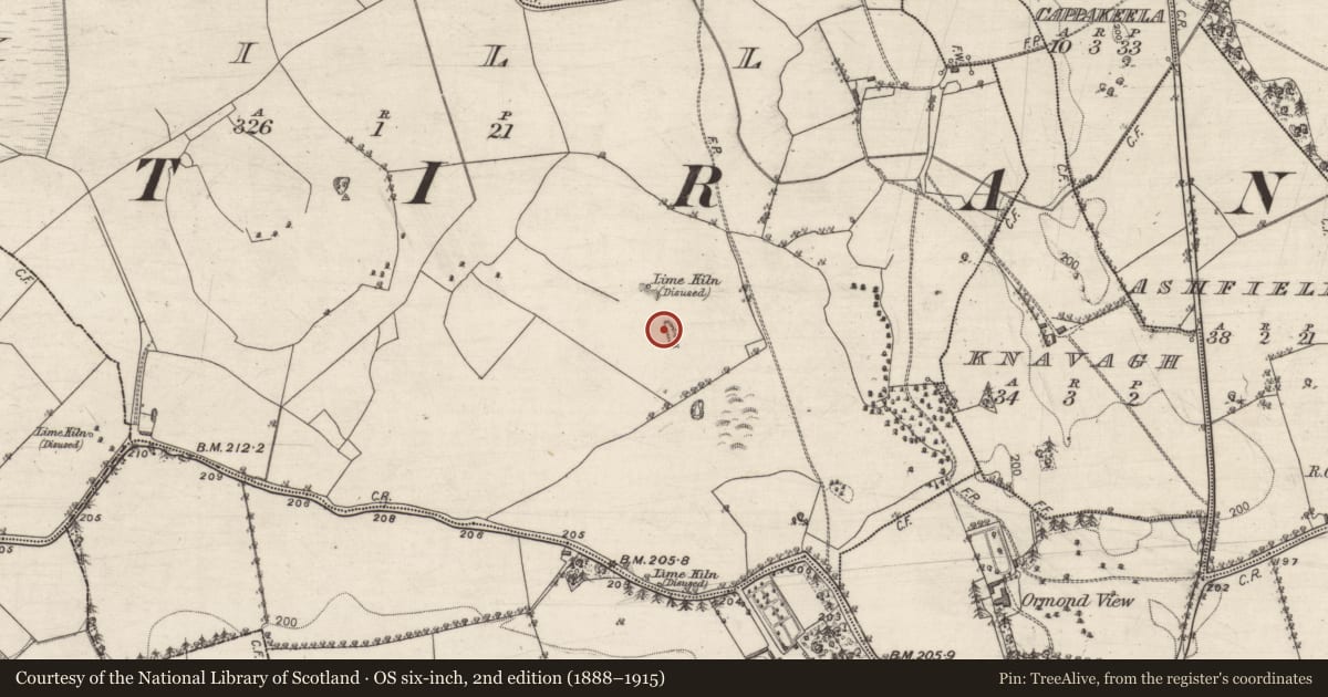 Ordnance Survey six-inch map, 2nd edition (1888–1915) covering the location of Quarry, Kill, County Galway, with a pin at the register's coordinates