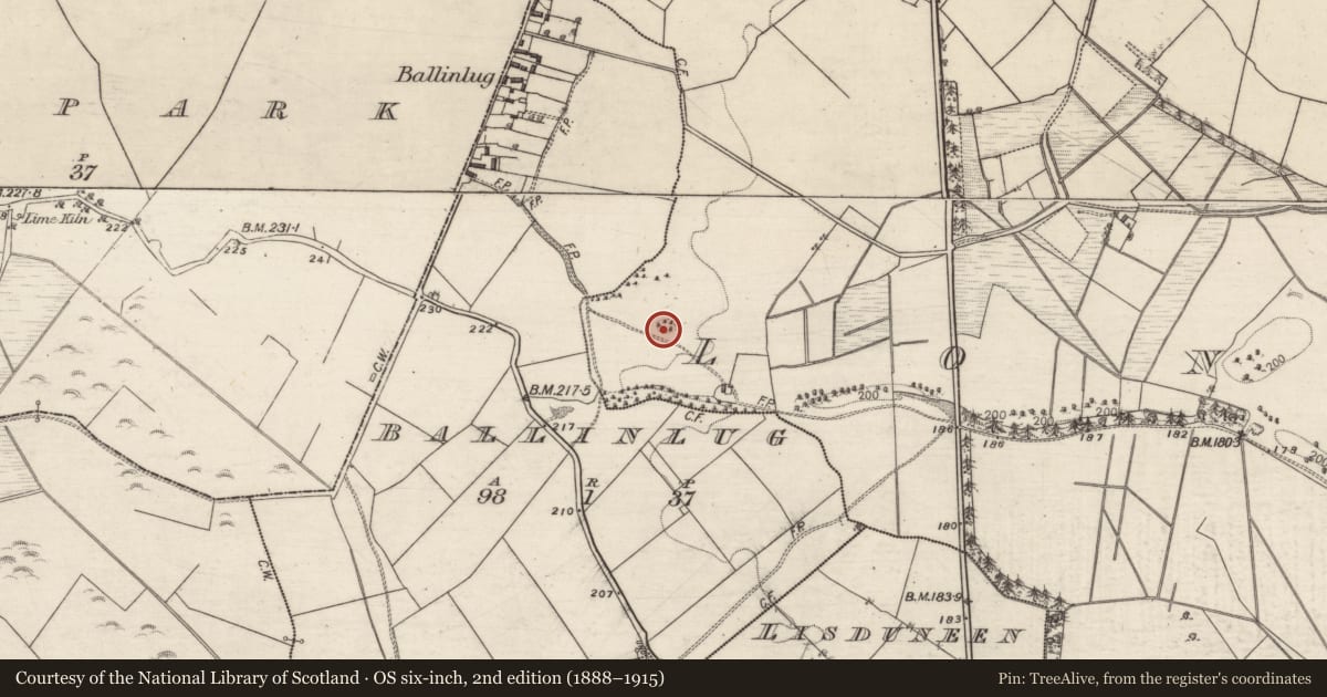 Ordnance Survey six-inch map, 2nd edition (1888–1915) covering the location of Earthwork, Longford, County Galway, with a pin at the register's coordinates