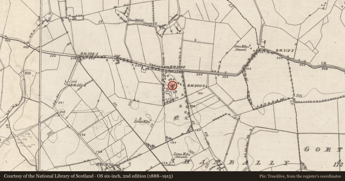 Ordnance Survey six-inch map, 2nd edition (1888–1915) covering the location of House - 18th/19th century, Muingbaun, County Galway, with a pin at the register's coordinates