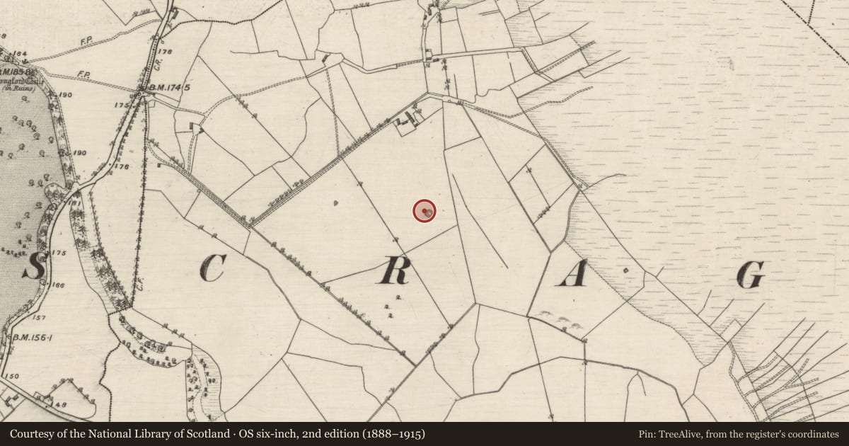 Ordnance Survey six-inch map, 2nd edition (1888–1915) covering the location of Enclosure, Tiranascragh, County Galway, with a pin at the register's coordinates