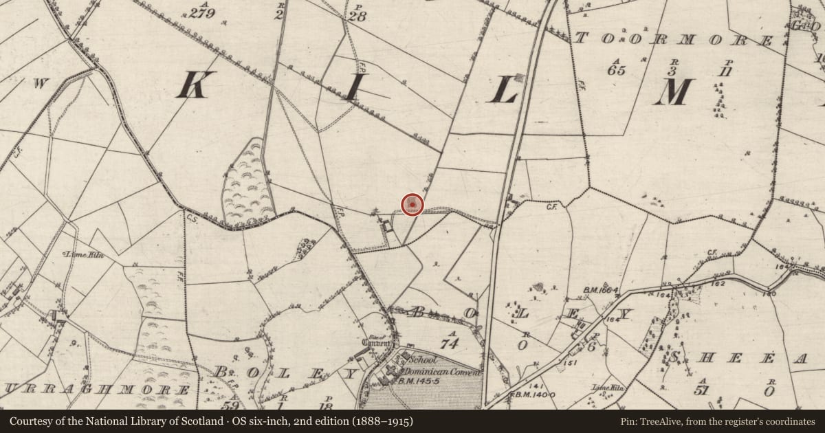 Ordnance Survey six-inch map, 2nd edition (1888–1915) covering the location of Quarry, Gortrea Or Fairfield, County Galway, with a pin at the register's coordinates