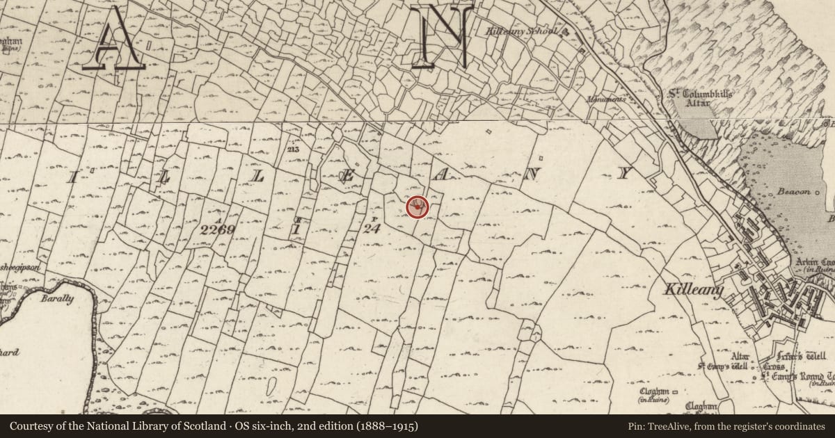 Ordnance Survey six-inch map, 2nd edition (1888–1915) covering the location of Ringfort - cashel, Cill Éinne, County Galway, with a pin at the register's coordinates