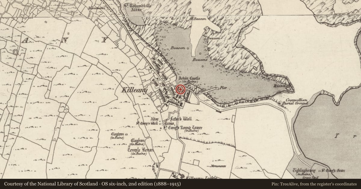 Ordnance Survey six-inch map, 2nd edition (1888–1915) covering the location of Castle - unclassified, Cill Éinne, County Galway, with a pin at the register's coordinates