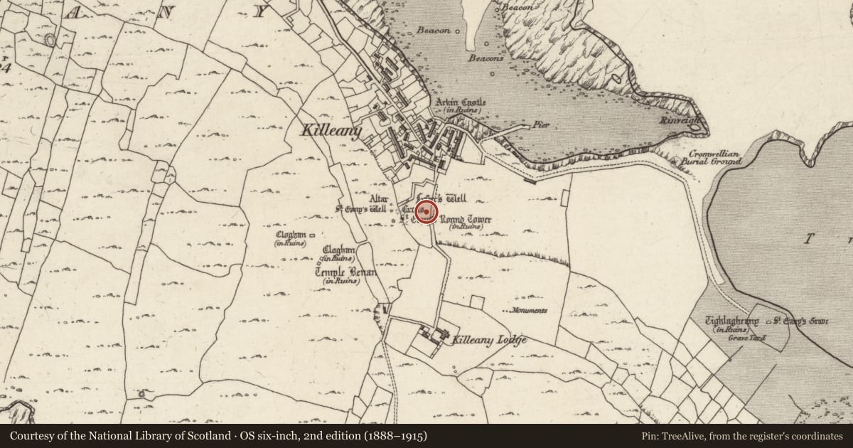 Ordnance Survey six-inch map, 2nd edition (1888–1915) covering the location of Cross - High cross, Cill Éinne, County Galway, with a pin at the register's coordinates