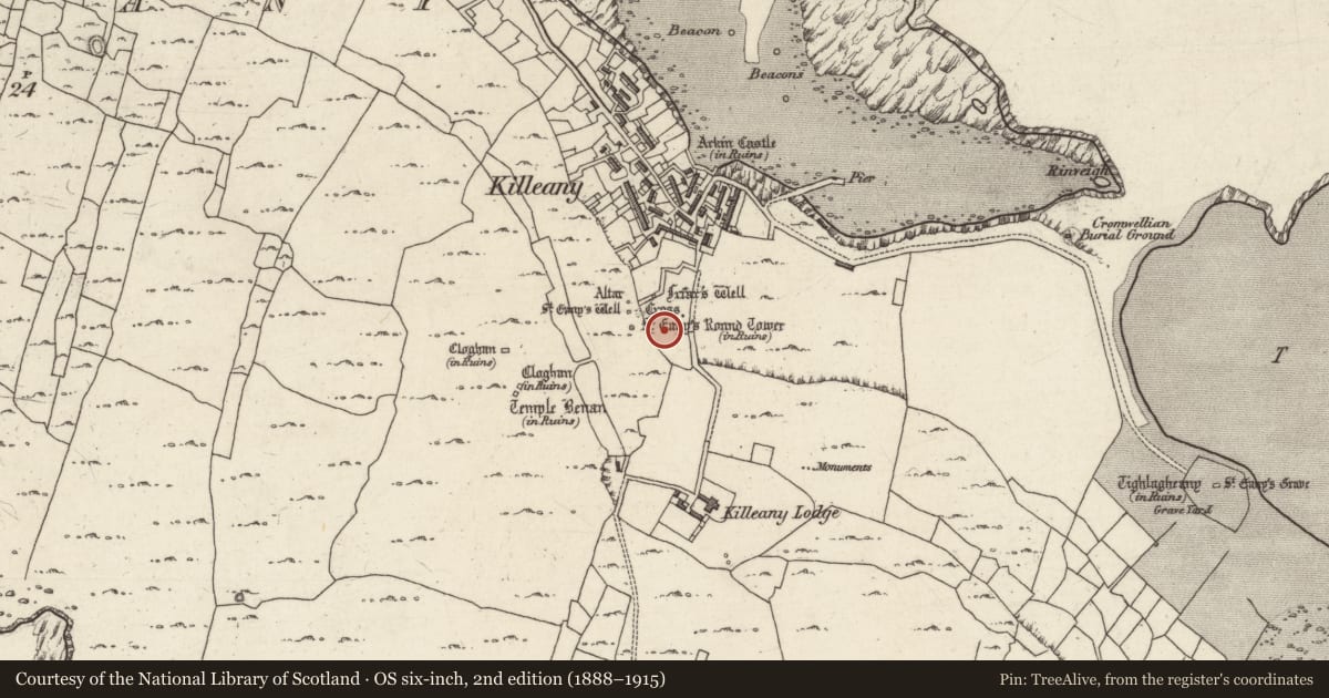 Ordnance Survey six-inch map, 2nd edition (1888–1915) covering the location of Religious house - Franciscan friars, Cill Éinne, County Galway, with a pin at the register's coordinates