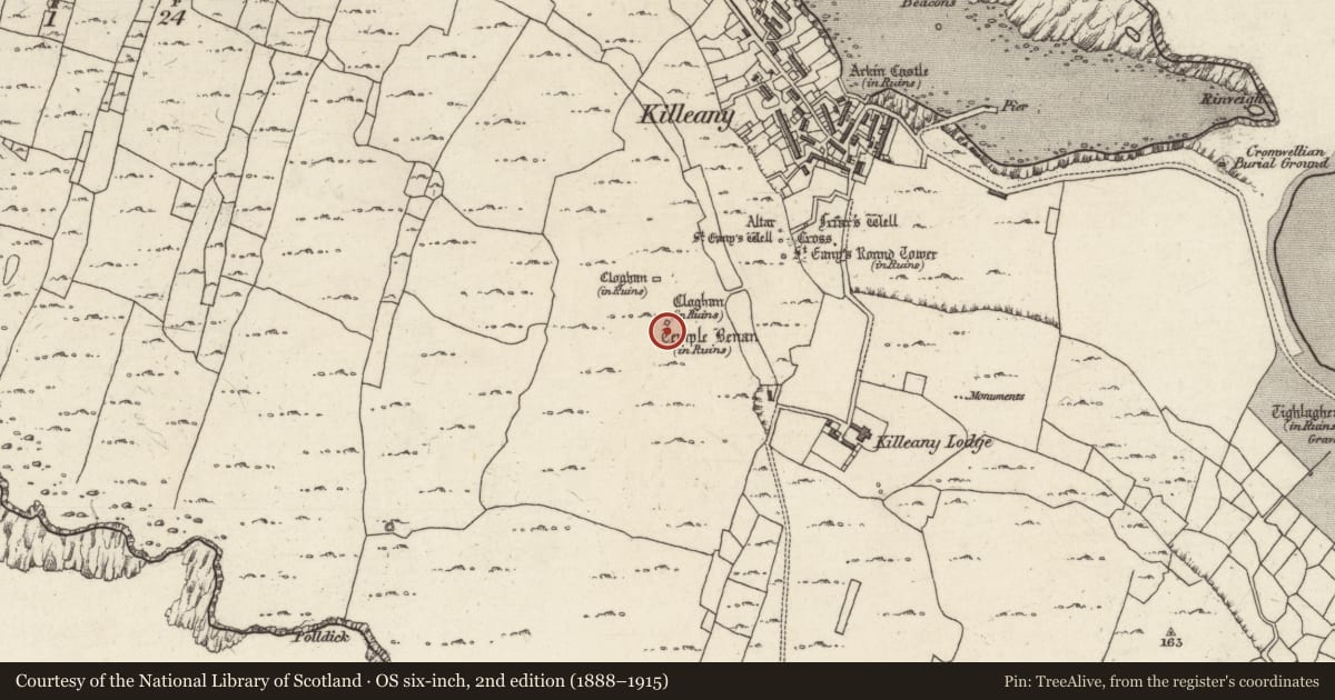 Ordnance Survey six-inch map, 2nd edition (1888–1915) covering the location of Church, Cill Éinne, County Galway, with a pin at the register's coordinates