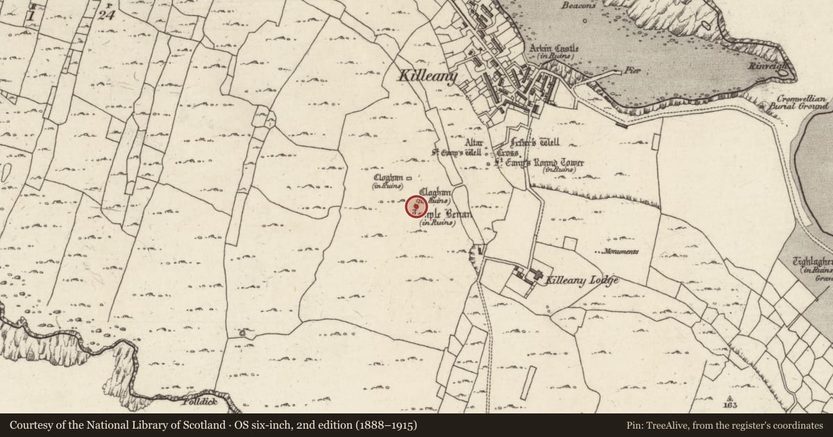Ordnance Survey six-inch map, 2nd edition (1888–1915) covering the location of Clochan, Cill Éinne, County Galway, with a pin at the register's coordinates