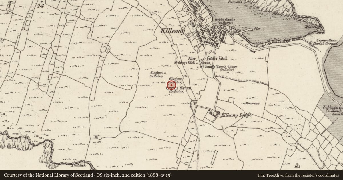 Ordnance Survey six-inch map, 2nd edition (1888–1915) covering the location of Structure, Cill Éinne, County Galway, with a pin at the register's coordinates