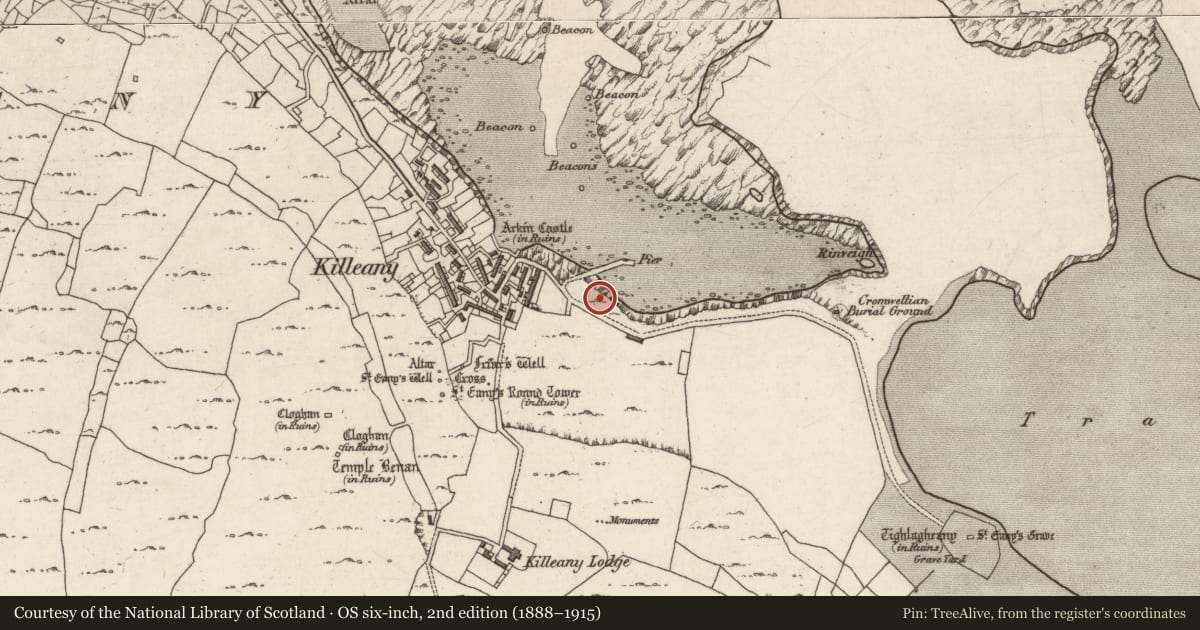 Ordnance Survey six-inch map, 2nd edition (1888–1915) covering the location of Rock scribing - folk art, Cill Éinne, County Galway, with a pin at the register's coordinates