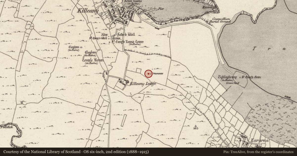 Ordnance Survey six-inch map, 2nd edition (1888–1915) covering the location of Leacht cuimhne, Cill Éinne, County Galway, with a pin at the register's coordinates