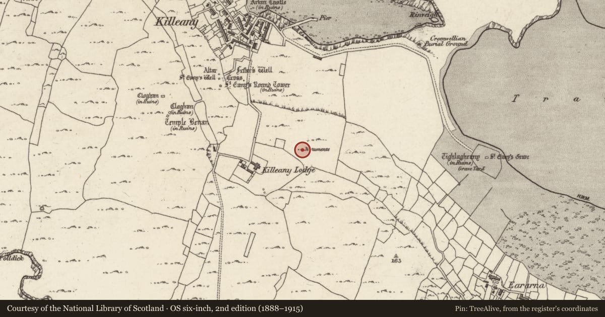 Ordnance Survey six-inch map, 2nd edition (1888–1915) covering the location of Leacht cuimhne, Cill Éinne, County Galway, with a pin at the register's coordinates