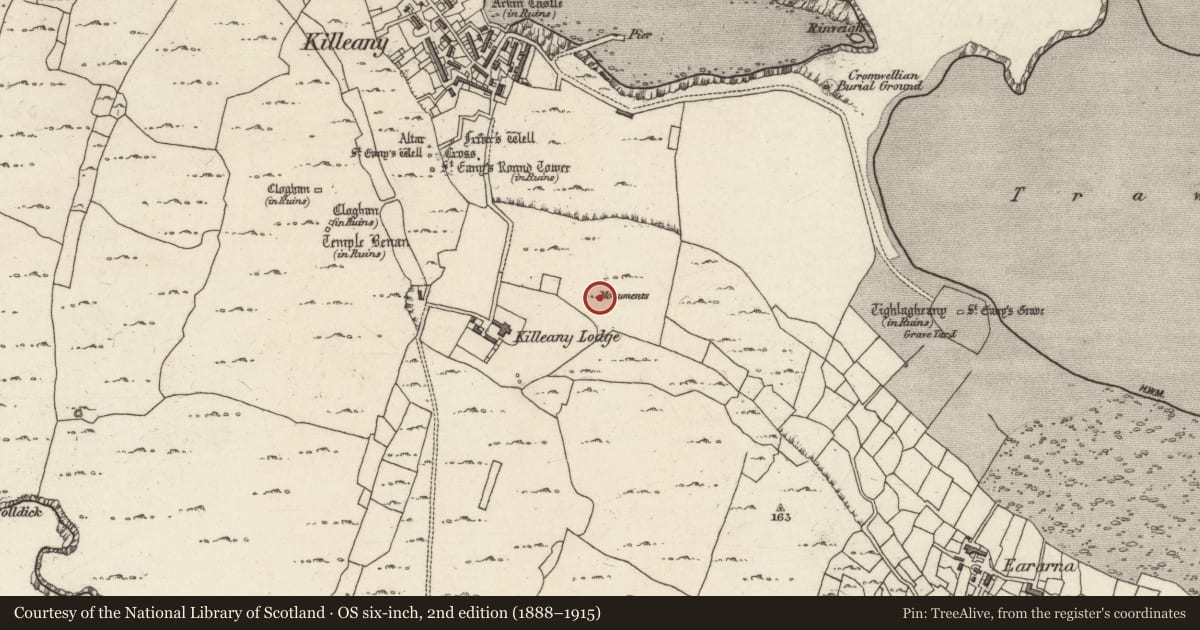 Ordnance Survey six-inch map, 2nd edition (1888–1915) covering the location of Leacht cuimhne, Cill Éinne, County Galway, with a pin at the register's coordinates