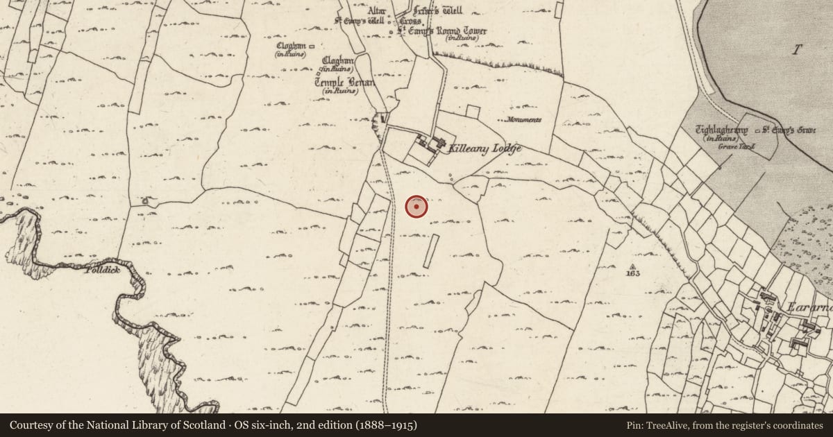 Ordnance Survey six-inch map, 2nd edition (1888–1915) covering the location of Ringfort - cashel, Cill Éinne, County Galway, with a pin at the register's coordinates
