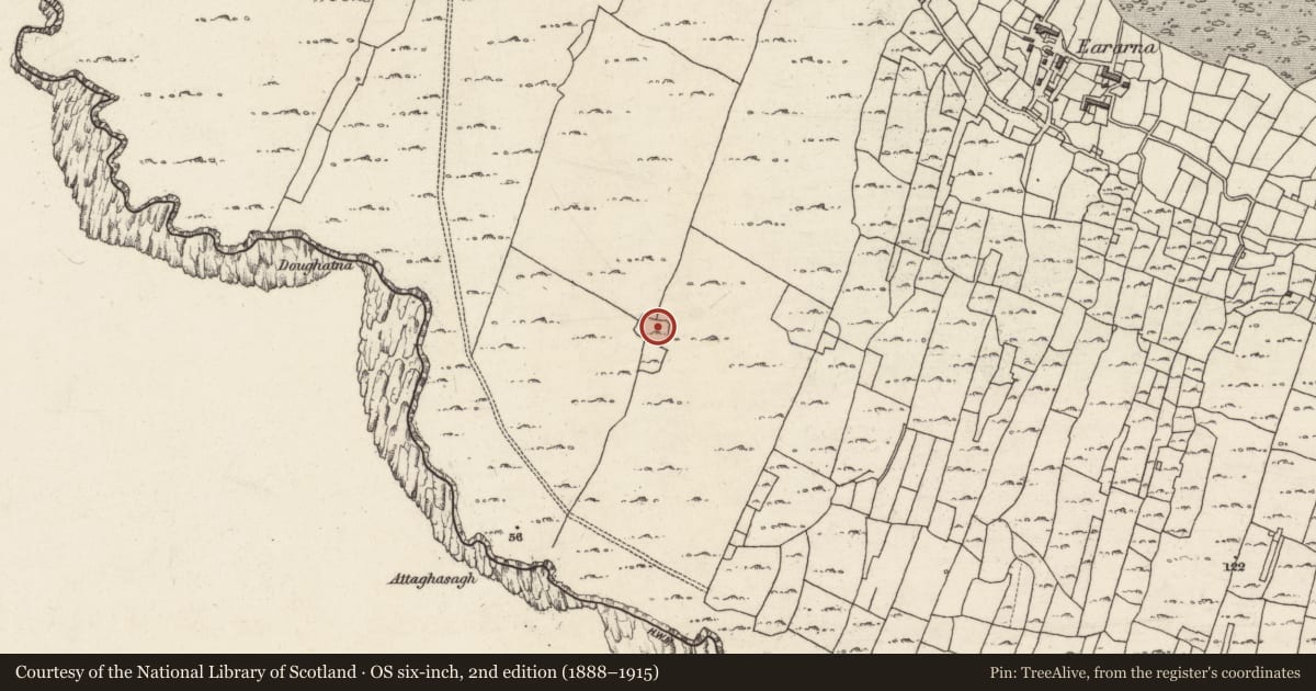Ordnance Survey six-inch map, 2nd edition (1888–1915) covering the location of Clochan, Cill Éinne, County Galway, with a pin at the register's coordinates