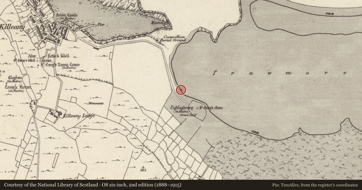 Ordnance Survey six-inch map, 2nd edition (1888–1915) covering the location of Burial, Cill Éinne, County Galway, with a pin at the register's coordinates