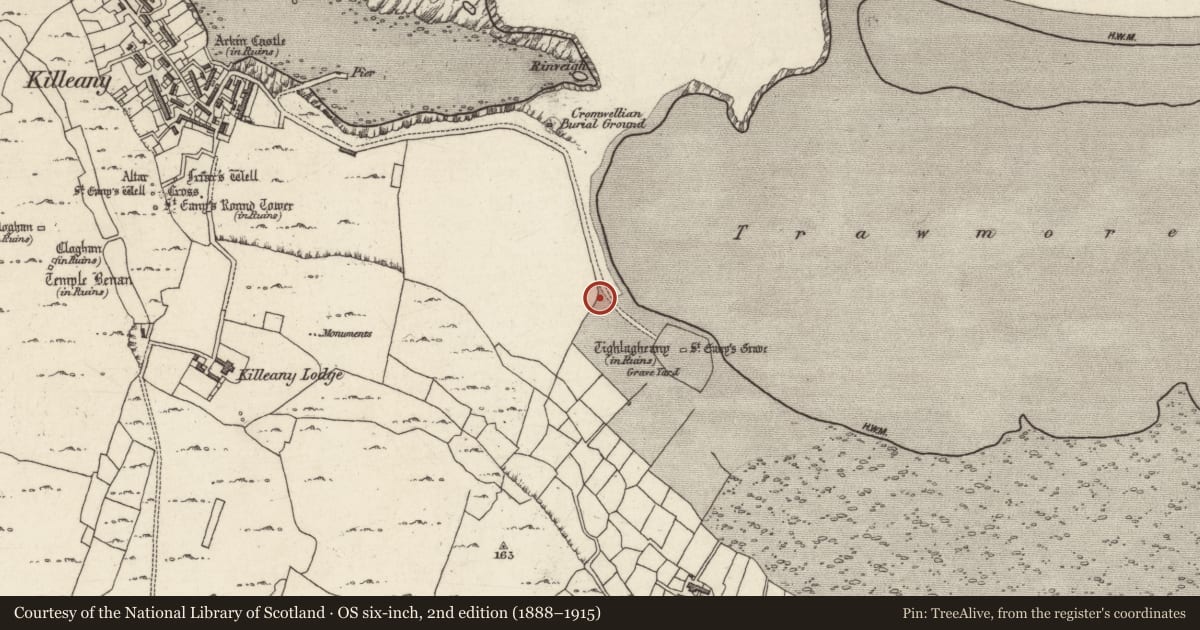 Ordnance Survey six-inch map, 2nd edition (1888–1915) covering the location of Cist, Cill Éinne, County Galway, with a pin at the register's coordinates