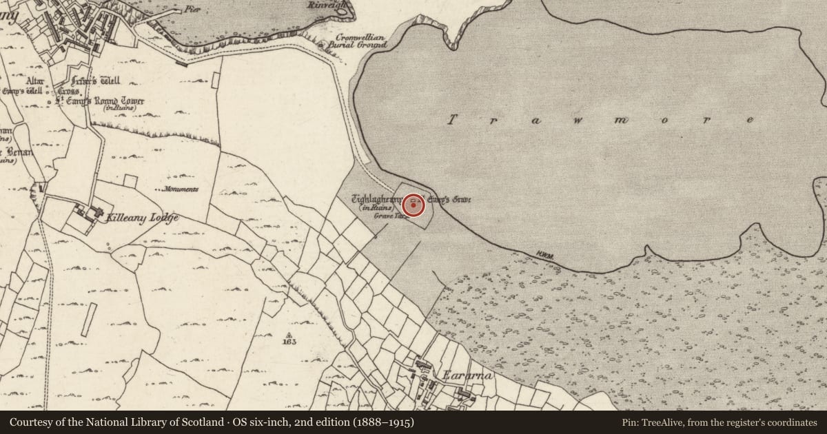 Ordnance Survey six-inch map, 2nd edition (1888–1915) covering the location of Cross-slab, Cill Éinne, County Galway, with a pin at the register's coordinates
