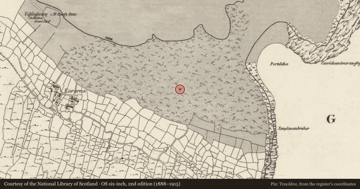 Ordnance Survey six-inch map, 2nd edition (1888–1915) covering the location of Field system, Cill Éinne, County Galway, with a pin at the register's coordinates