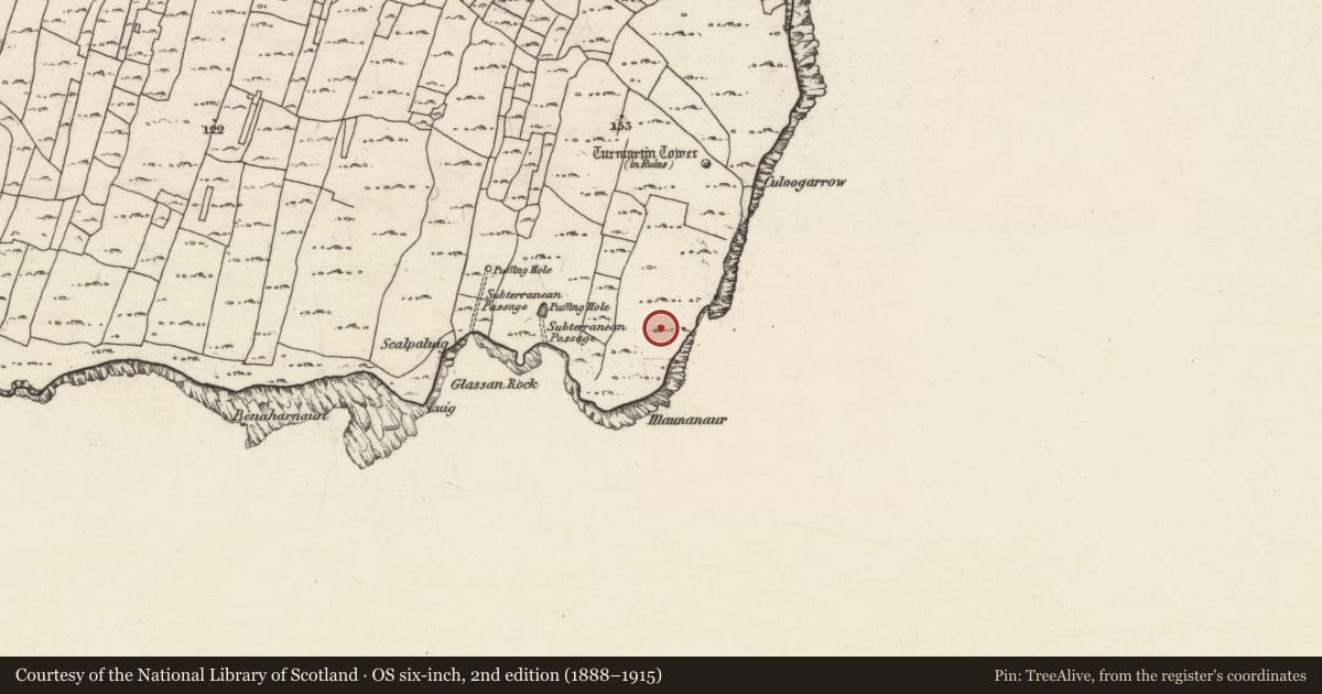 Ordnance Survey six-inch map, 2nd edition (1888–1915) covering the location of Stone circle, Cill Éinne, County Galway, with a pin at the register's coordinates