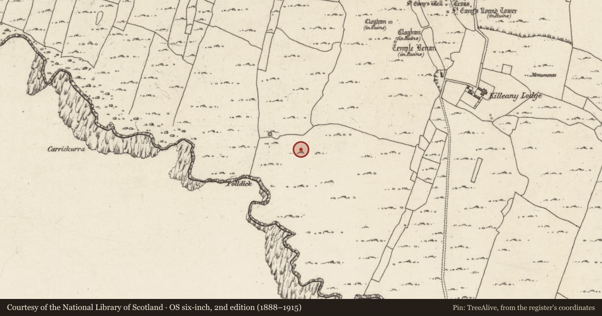 Ordnance Survey six-inch map, 2nd edition (1888–1915) covering the location of Structure, Cill Éinne, County Galway, with a pin at the register's coordinates