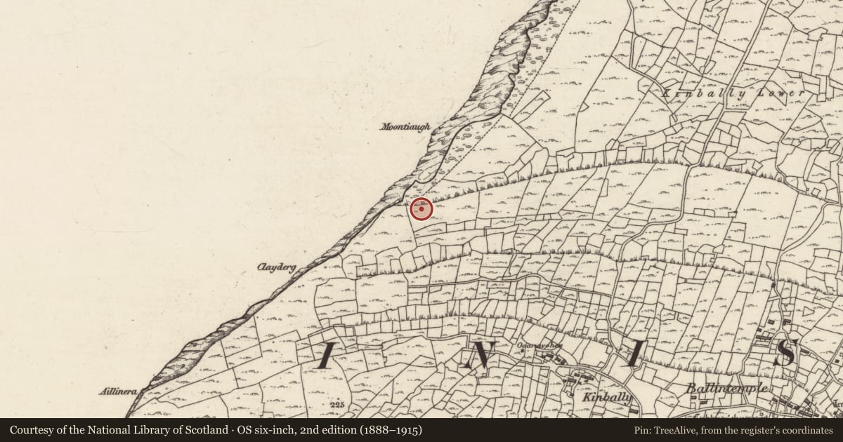 Ordnance Survey six-inch map, 2nd edition (1888–1915) covering the location of Megalithic tomb - wedge tomb, Ceathrú An Teampaill, County Galway, with a pin at the register's coordinates