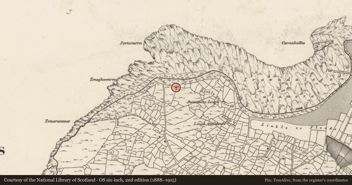Ordnance Survey six-inch map, 2nd edition (1888–1915) covering the location of Enclosure, Ceathrú An Teampaill, County Galway, with a pin at the register's coordinates