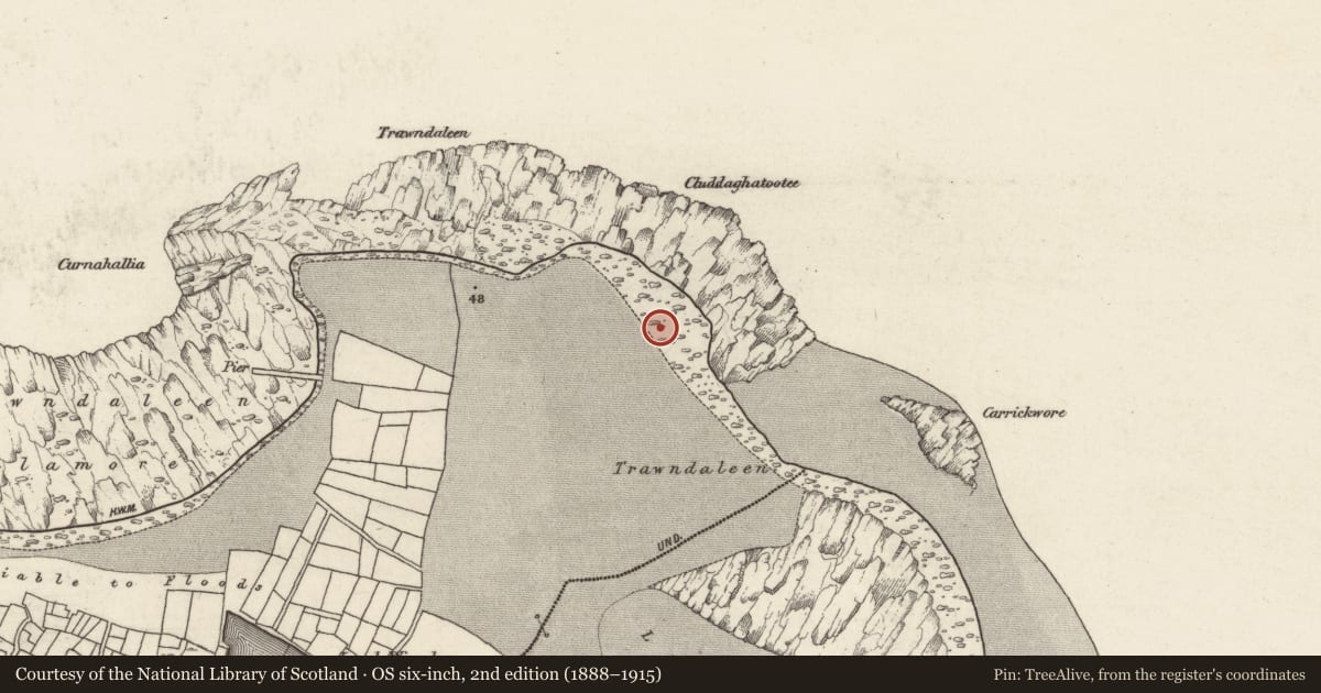 Ordnance Survey six-inch map, 2nd edition (1888–1915) covering the location of Burial, Ceathrú An Teampaill, County Galway, with a pin at the register's coordinates