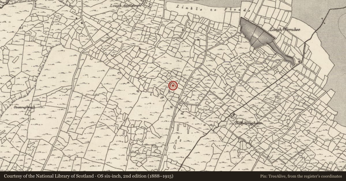 Ordnance Survey six-inch map, 2nd edition (1888–1915) covering the location of Midden, Ceathrú An Teampaill, County Galway, with a pin at the register's coordinates