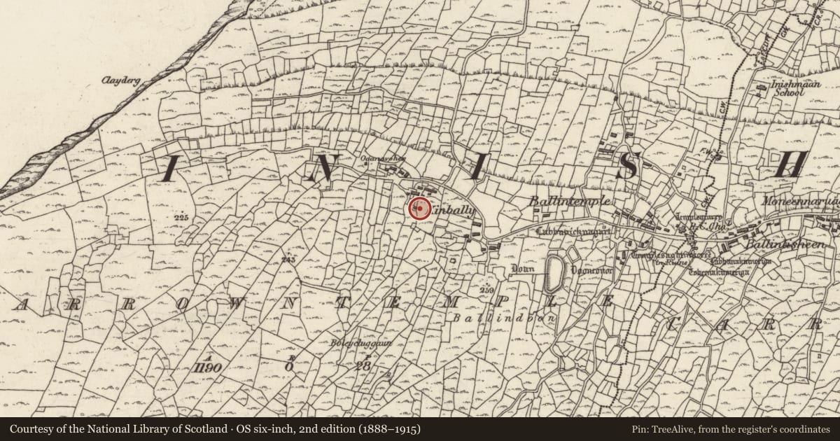 Ordnance Survey six-inch map, 2nd edition (1888–1915) covering the location of Clochan, Ceathrú An Teampaill, County Galway, with a pin at the register's coordinates