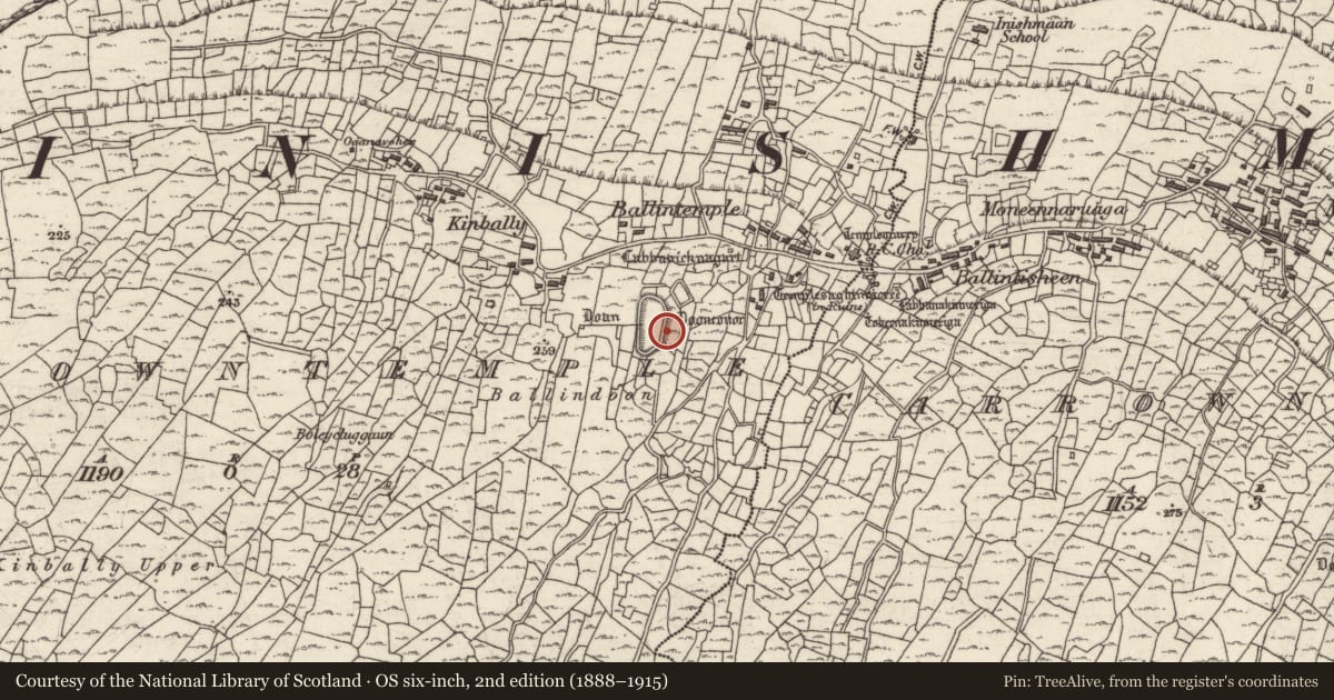 Ordnance Survey six-inch map, 2nd edition (1888–1915) covering the location of Clochan, Ceathrú An Teampaill, County Galway, with a pin at the register's coordinates