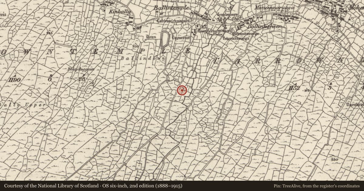 Ordnance Survey six-inch map, 2nd edition (1888–1915) covering the location of Mound, Ceathrú An Teampaill, County Galway, with a pin at the register's coordinates