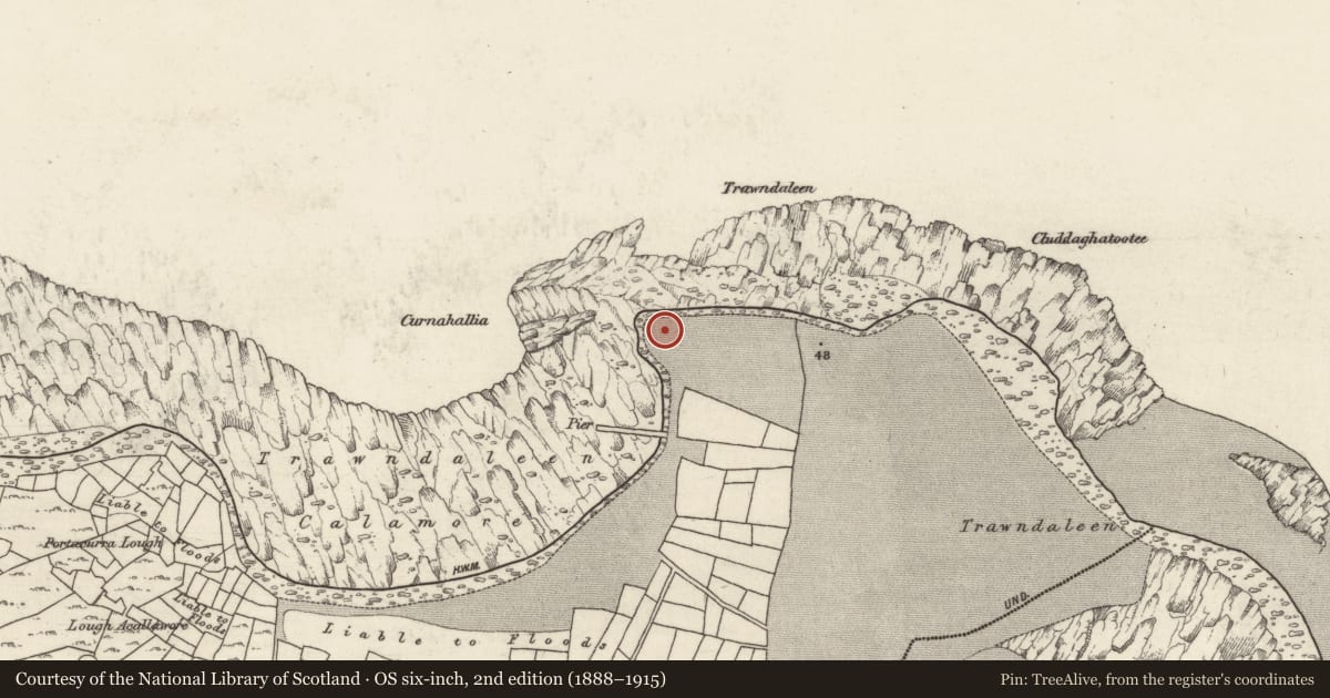 Ordnance Survey six-inch map, 2nd edition (1888–1915) covering the location of Mass-rock, Ceathrú An Teampaill, County Galway, with a pin at the register's coordinates