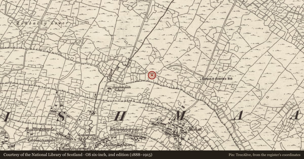 Ordnance Survey six-inch map, 2nd edition (1888–1915) covering the location of Mound, Ceathrú An Lisín, County Galway, with a pin at the register's coordinates