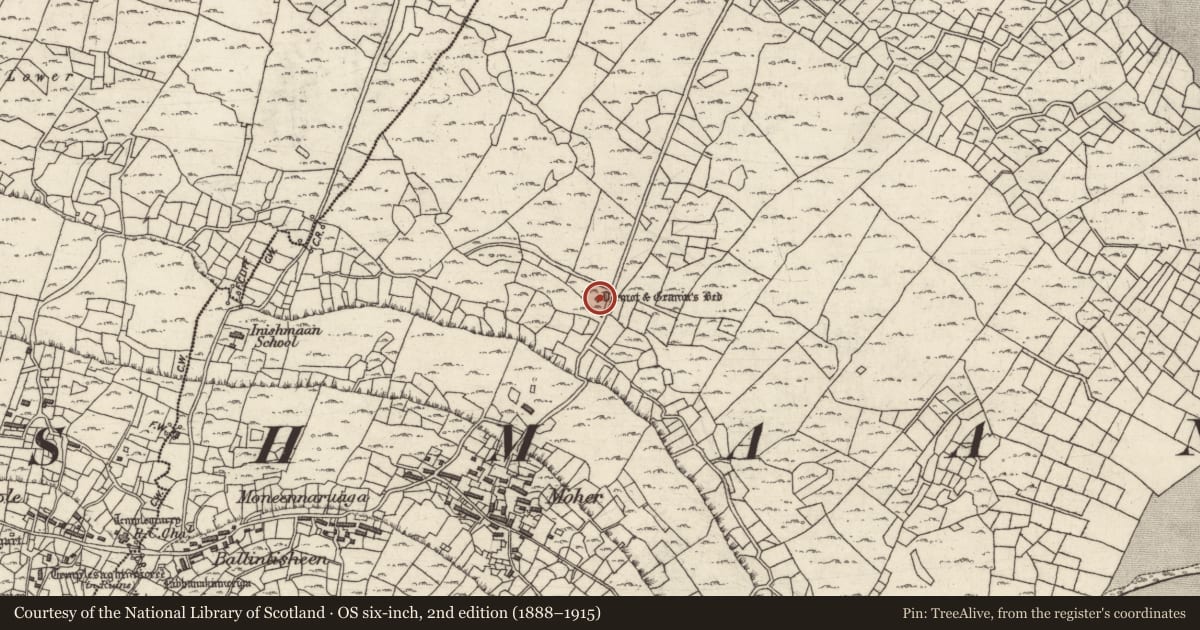 Ordnance Survey six-inch map, 2nd edition (1888–1915) covering the location of Megalithic tomb - wedge tomb, Ceathrú An Lisín, County Galway, with a pin at the register's coordinates