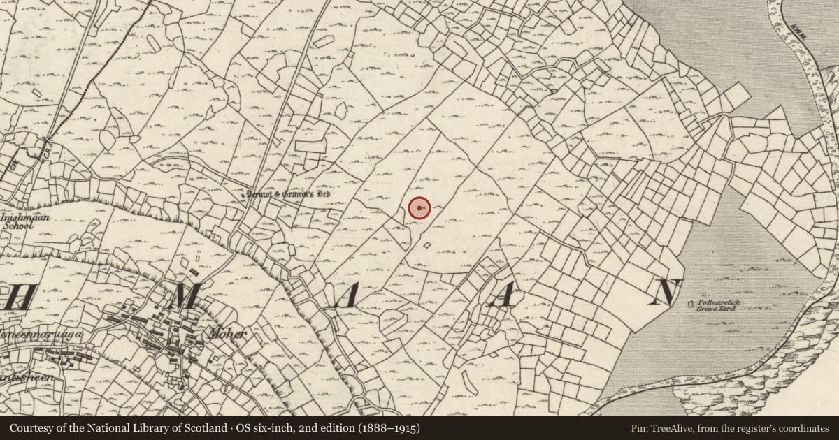 Ordnance Survey six-inch map, 2nd edition (1888–1915) covering the location of Megalithic tomb - wedge tomb, Ceathrú An Lisín, County Galway, with a pin at the register's coordinates