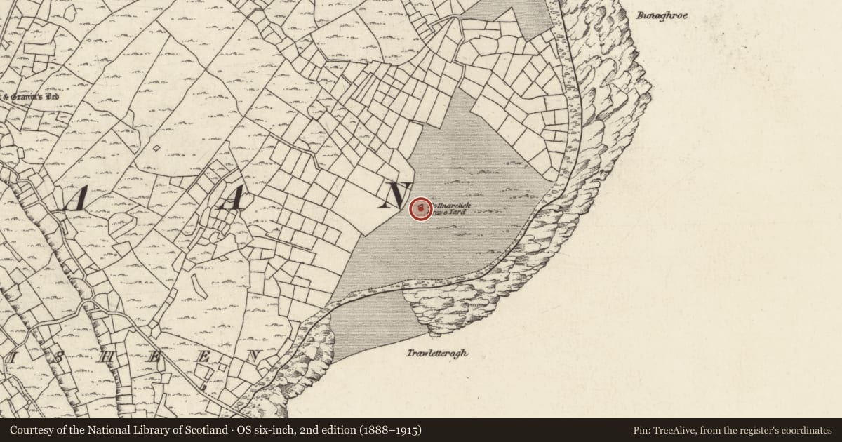 Ordnance Survey six-inch map, 2nd edition (1888–1915) covering the location of Graveyard, Ceathrú An Lisín, County Galway, with a pin at the register's coordinates