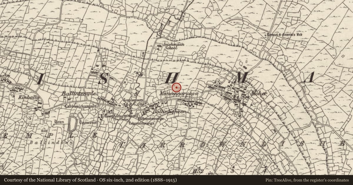 Ordnance Survey six-inch map, 2nd edition (1888–1915) covering the location of Children's burial ground, Ceathrú An Lisín, County Galway, with a pin at the register's coordinates