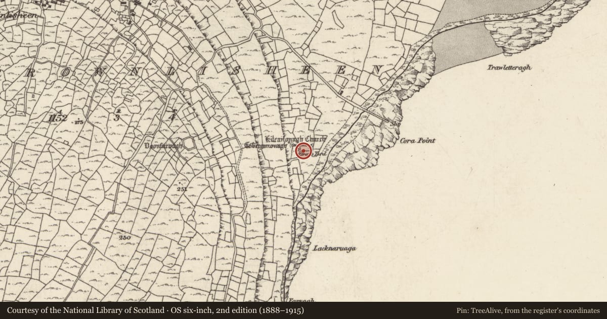 Ordnance Survey six-inch map, 2nd edition (1888–1915) covering the location of Shrine, Ceathrú An Lisín, County Galway, with a pin at the register's coordinates