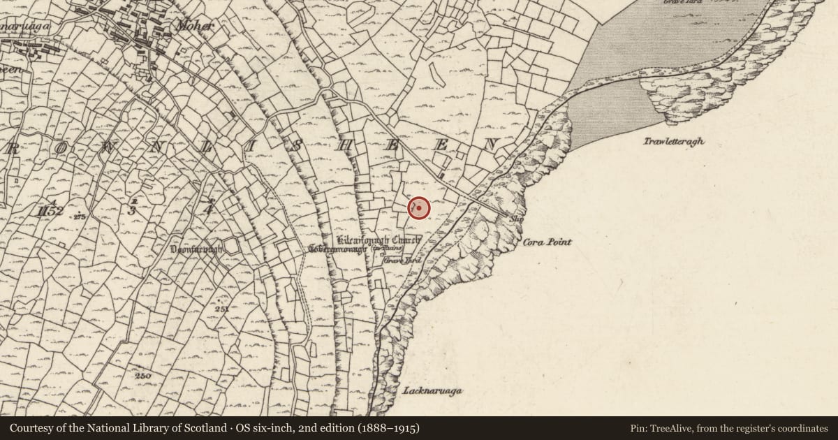 Ordnance Survey six-inch map, 2nd edition (1888–1915) covering the location of Clochan, Ceathrú An Lisín, County Galway, with a pin at the register's coordinates