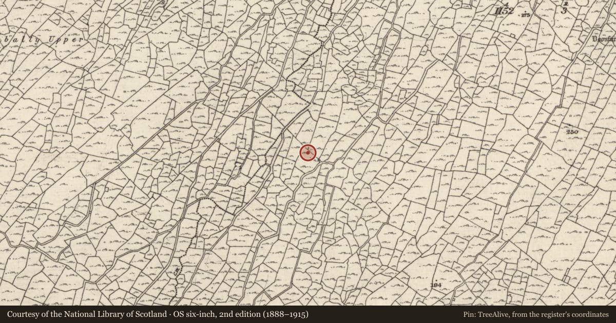 Ordnance Survey six-inch map, 2nd edition (1888–1915) covering the location of Fulacht fia, Ceathrú An Lisín, County Galway, with a pin at the register's coordinates