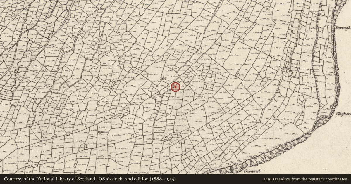 Ordnance Survey six-inch map, 2nd edition (1888–1915) covering the location of Distillery, Ceathrú An Lisín, County Galway, with a pin at the register's coordinates