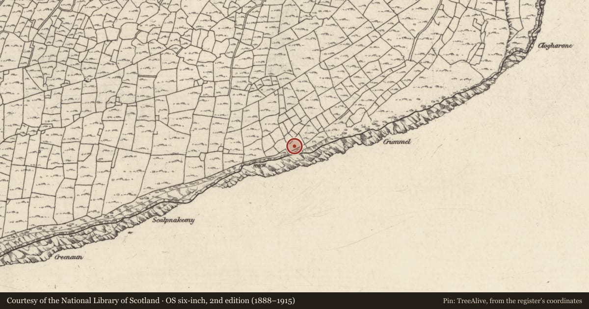 Ordnance Survey six-inch map, 2nd edition (1888–1915) covering the location of Burial, Ceathrú An Lisín, County Galway, with a pin at the register's coordinates