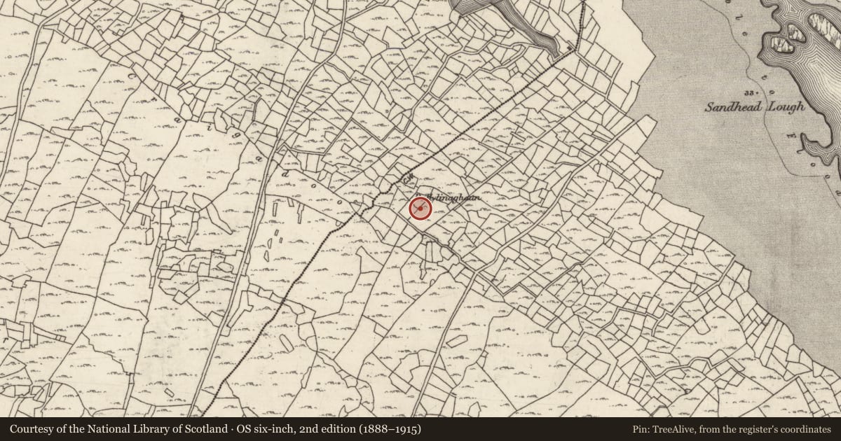 Ordnance Survey six-inch map, 2nd edition (1888–1915) covering the location of House - indeterminate date, Ceathrú An Lisín, County Galway, with a pin at the register's coordinates