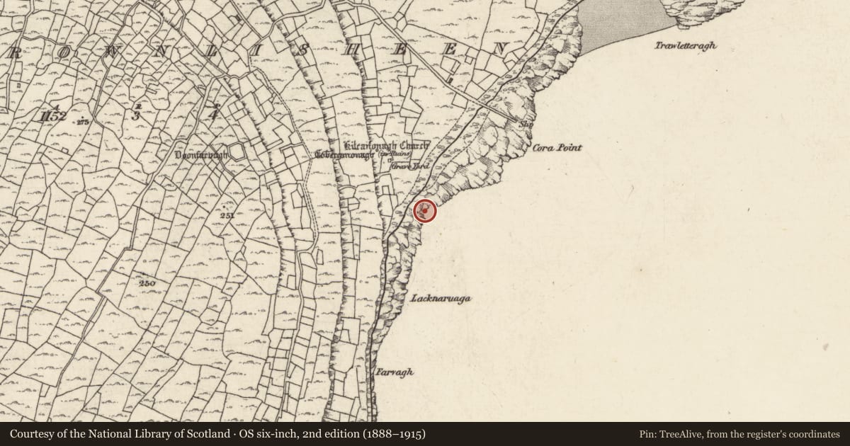 Ordnance Survey six-inch map, 2nd edition (1888–1915) covering the location of Burial ground, Ceathrú An Lisín, County Galway, with a pin at the register's coordinates