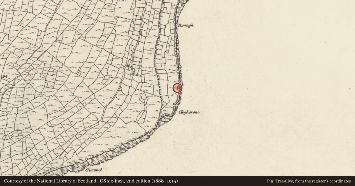 Ordnance Survey six-inch map, 2nd edition (1888–1915) covering the location of Burial ground, Ceathrú An Lisín, County Galway, with a pin at the register's coordinates