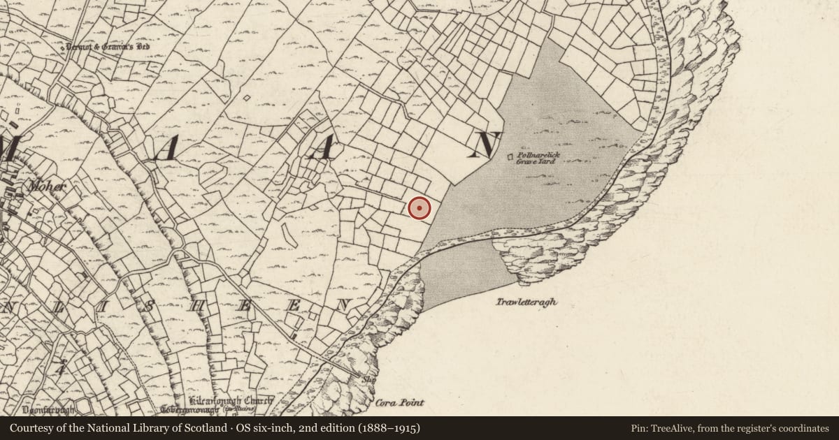 Ordnance Survey six-inch map, 2nd edition (1888–1915) covering the location of Burial ground, Ceathrú An Lisín, County Galway, with a pin at the register's coordinates