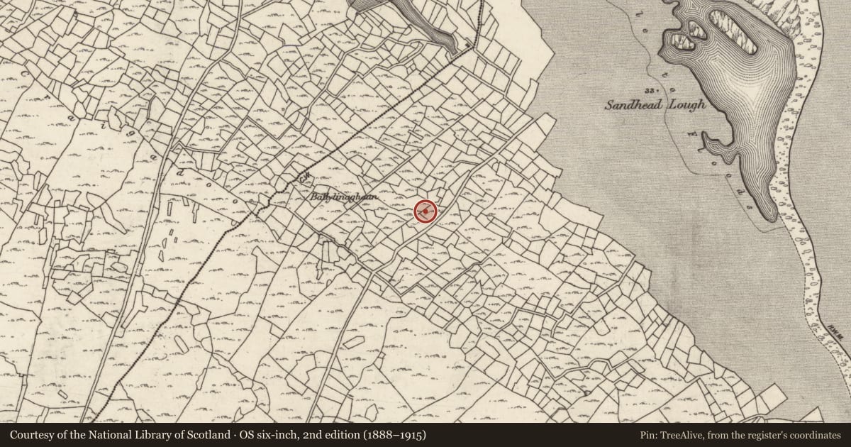 Ordnance Survey six-inch map, 2nd edition (1888–1915) covering the location of Structure, Ceathrú An Lisín, County Galway, with a pin at the register's coordinates