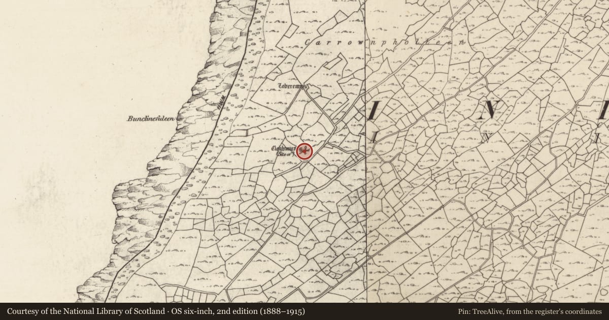 Ordnance Survey six-inch map, 2nd edition (1888–1915) covering the location of Clochan, Inis Oírr, County Galway, with a pin at the register's coordinates