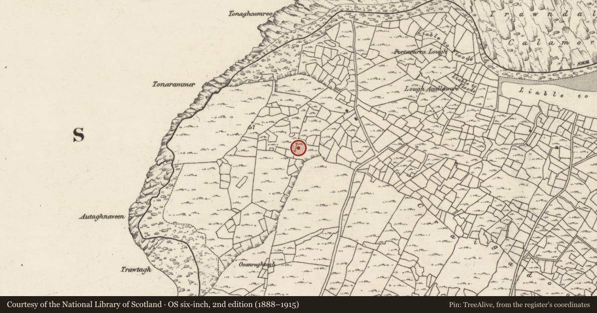 Ordnance Survey six-inch map, 2nd edition (1888–1915) covering the location of Mound, Ceathrú An Teampaill, County Galway, with a pin at the register's coordinates