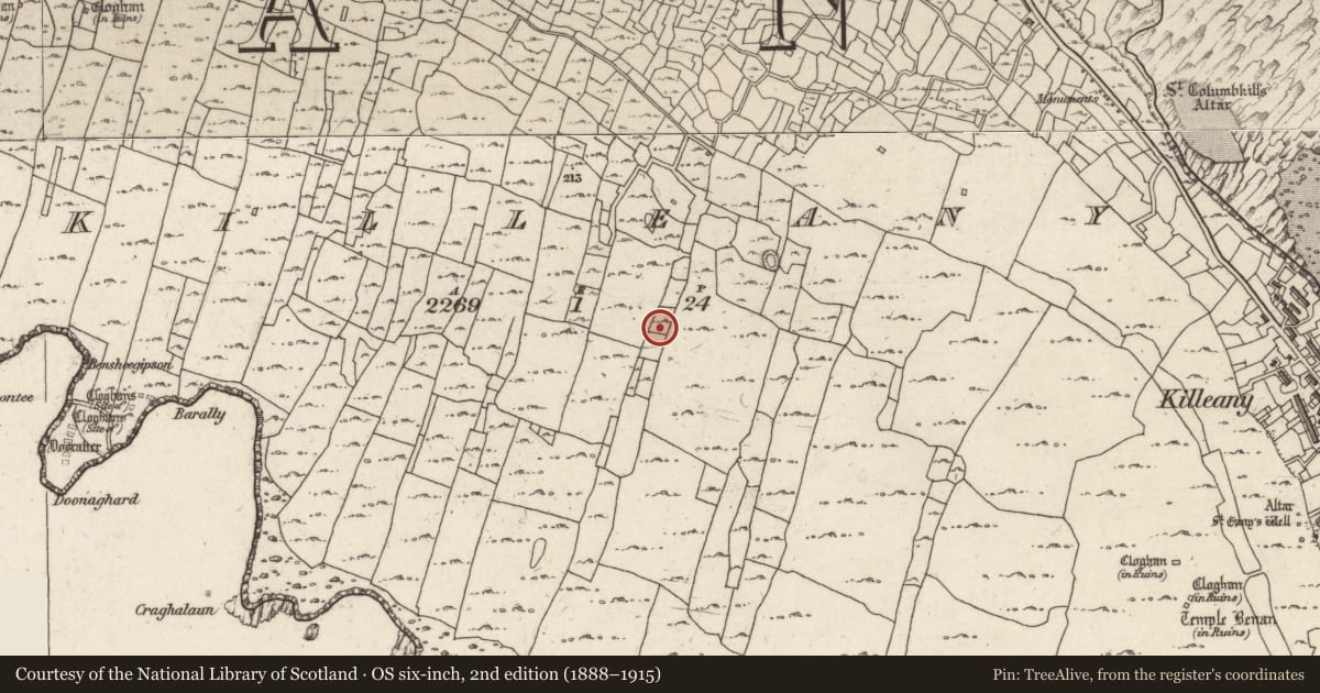 Ordnance Survey six-inch map, 2nd edition (1888–1915) covering the location of Clochan, Cill Éinne, County Galway, with a pin at the register's coordinates